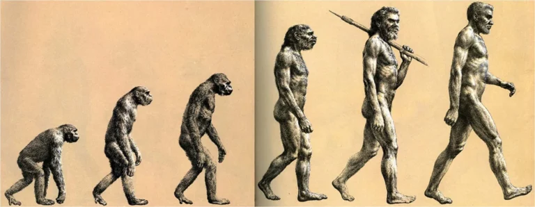 The Language of Modern Connection and Cultural Evolution