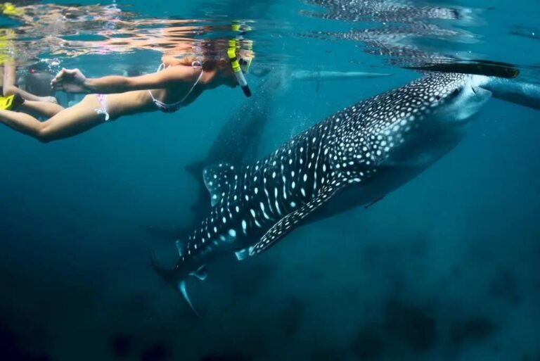Ningaloo Reef