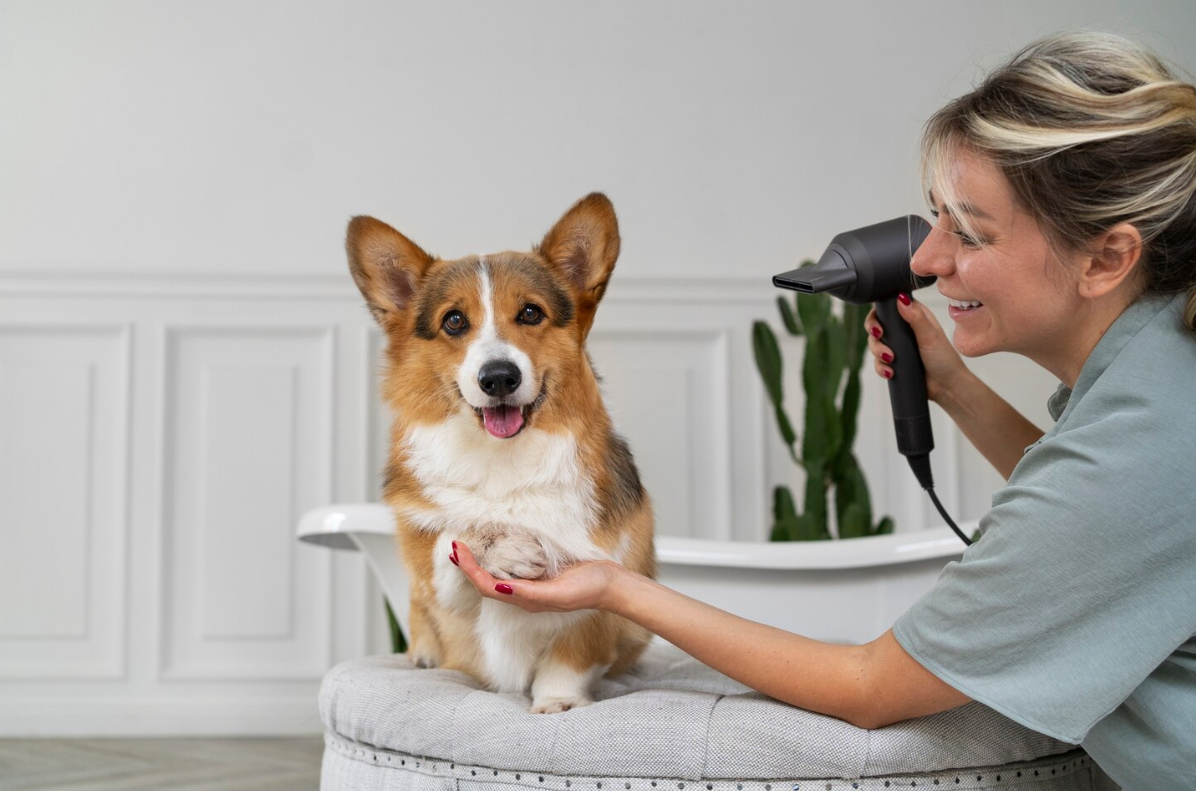 Grooming Appointment